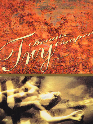Try - ebook